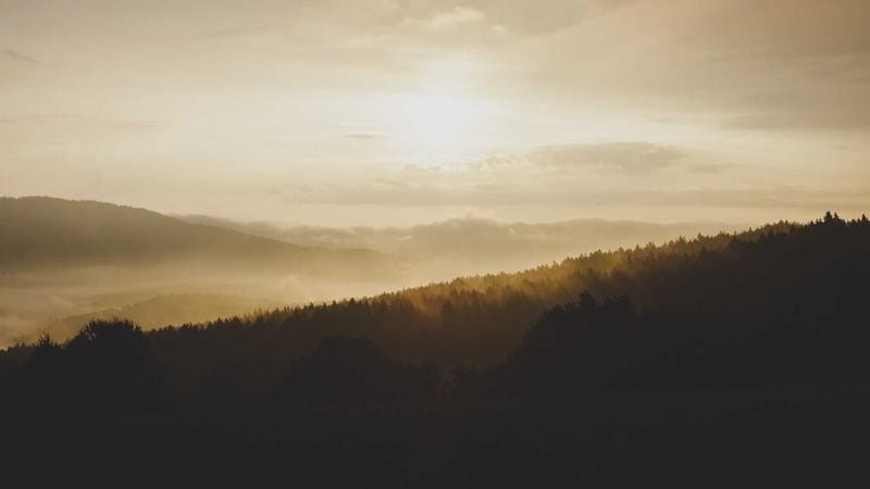 2차전지 ETF 투자자 유형별 전략을 설명하는 이미지