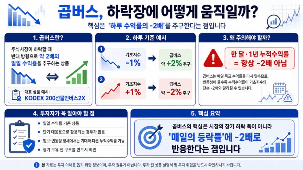 곱버스 뜻과 주의사항 인포그래픽
